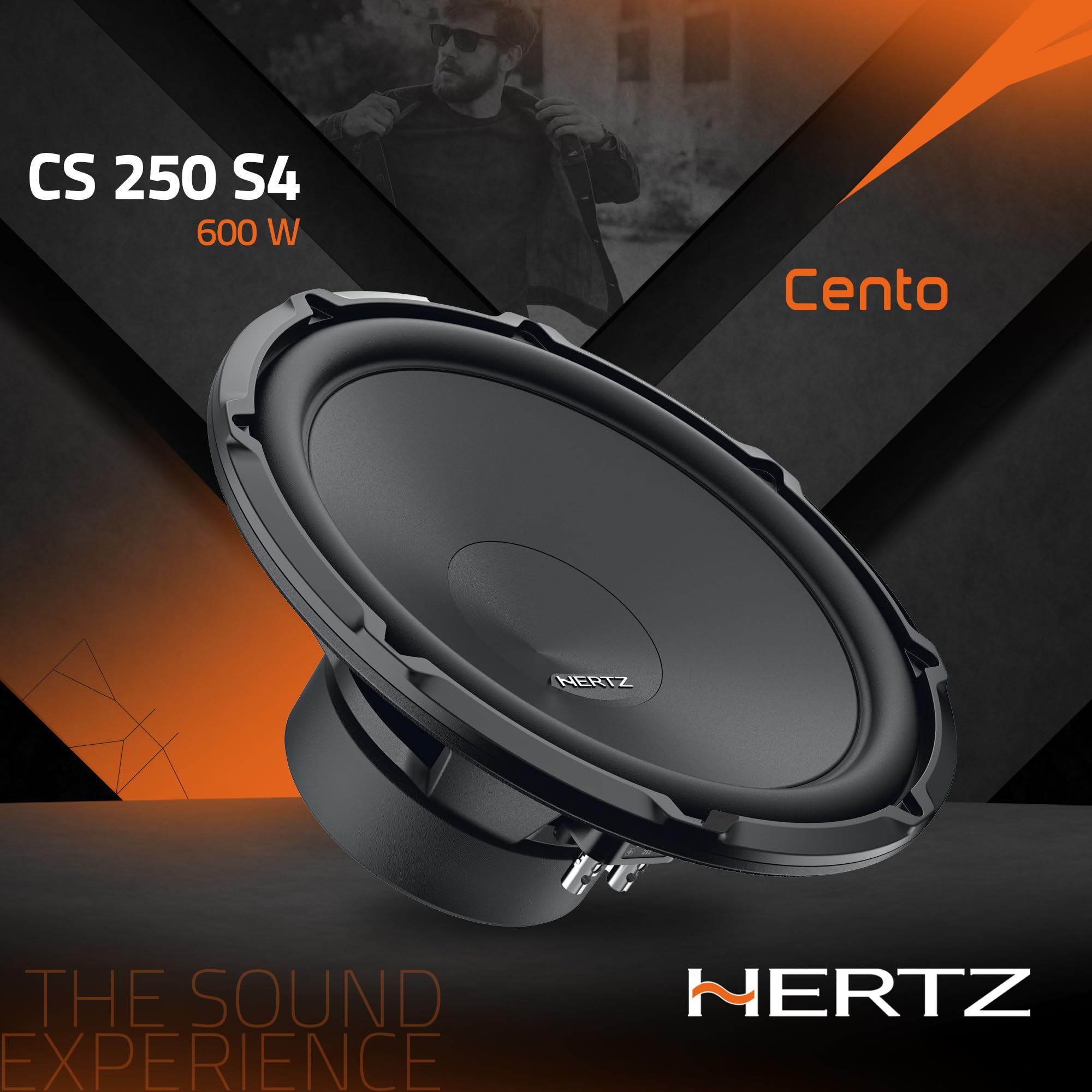 hertz-cs-250-s4-subwoofer-250-mm-600w-serie-cento image 3